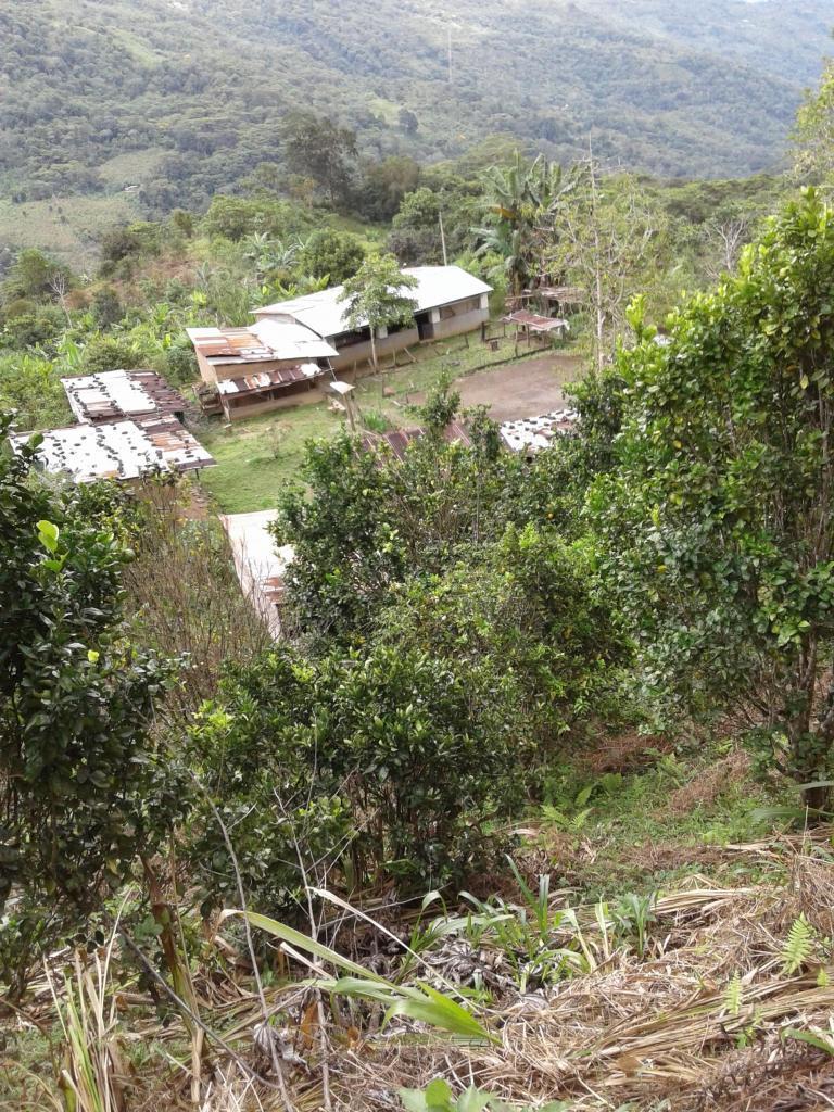Vendo Terreno Agrícola en Ichiquiato Cinta Verde Echarate la convencion