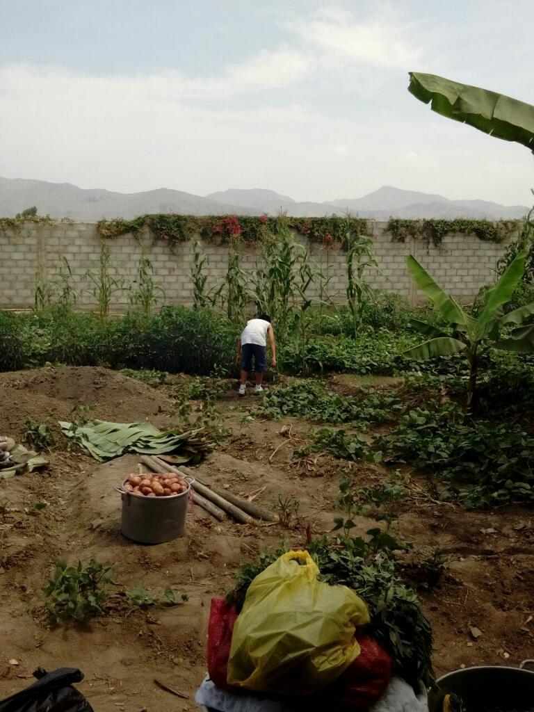 Terreno Pachacamac