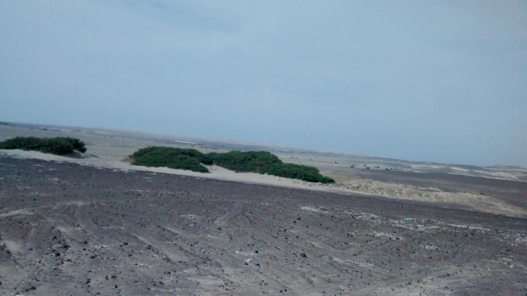 PANAMERNA SURACARI Terreno en venta de 4,500 hectáreas