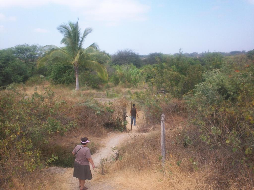 Parcela una hectarea Tambogrande