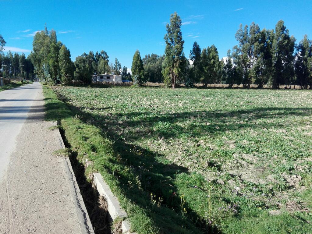 Lotes de Terreno - Hualhuas