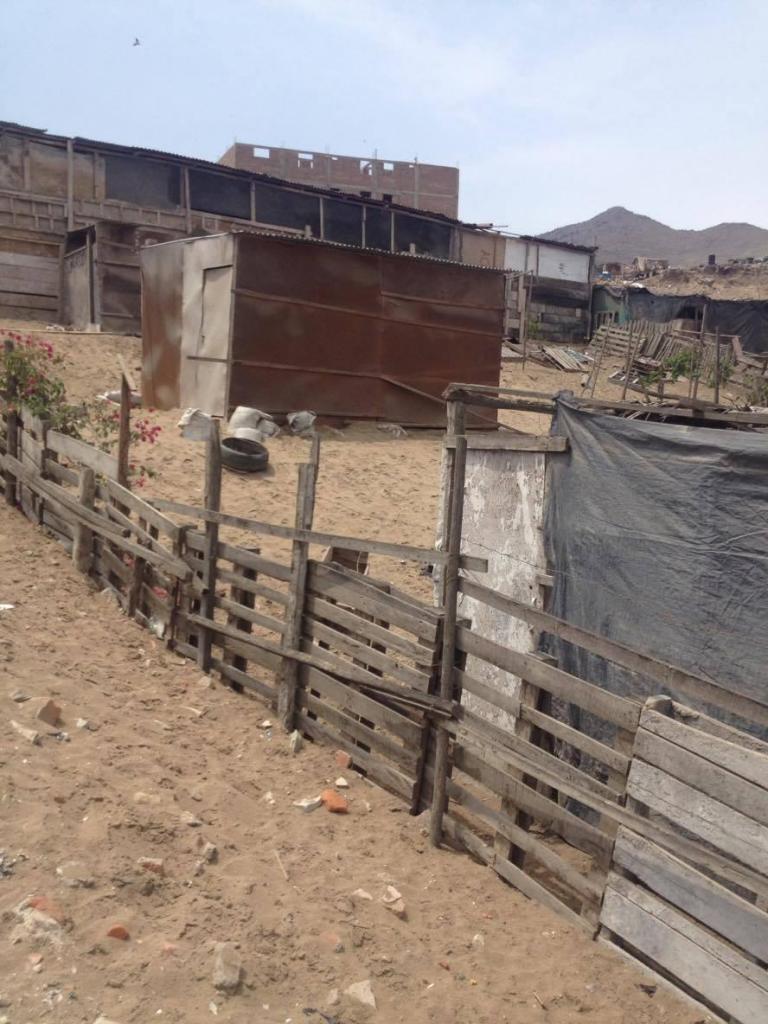 VENTA TERRENO PACHACAMAC OCASIÓN