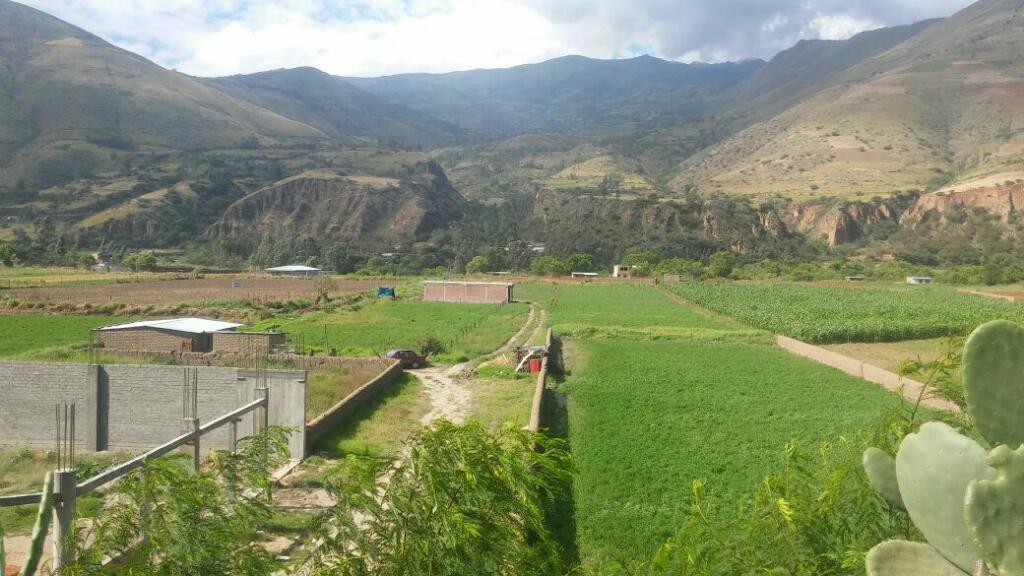 Vendo Terreno 250 Mts Huanuco Vichaycoto