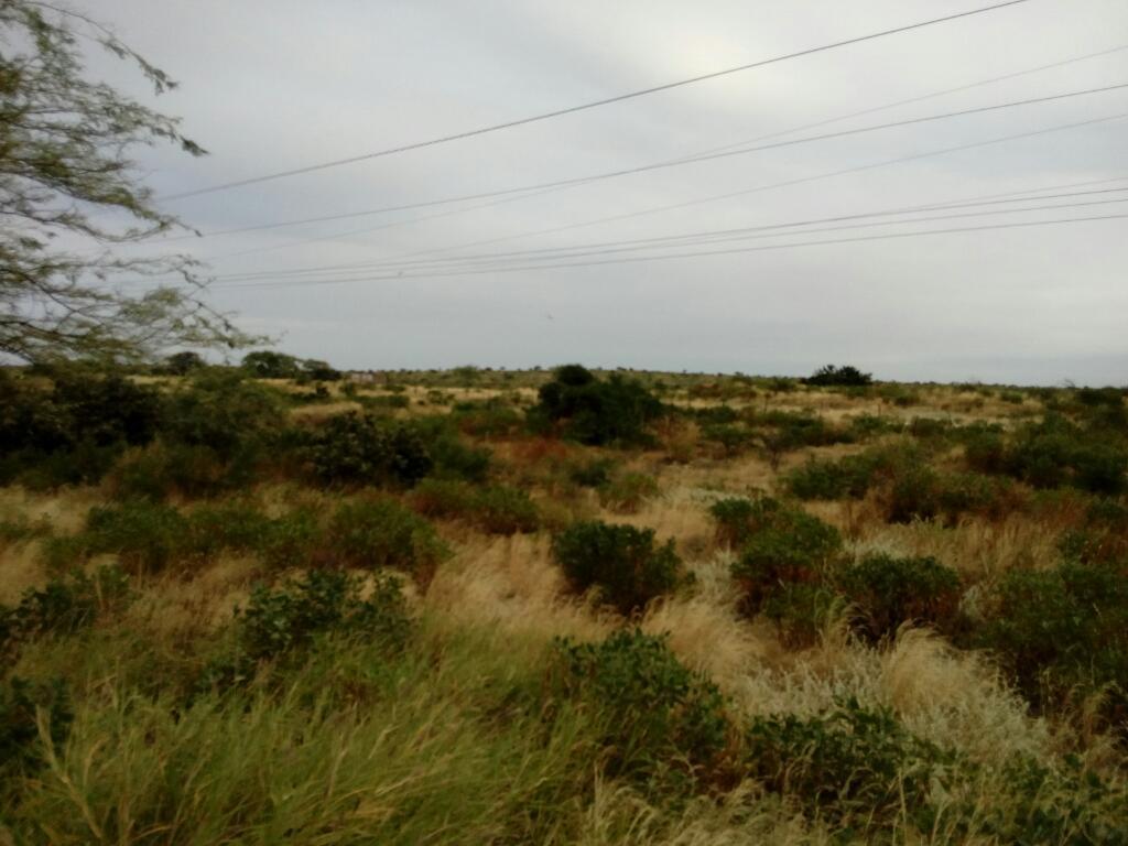 Terrenos Campestres de 120 Metros Cuadra