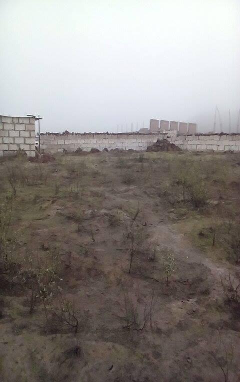 VENDO TERRENO INDUSTRIAL . 800 M2