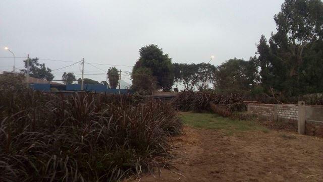 Venta de terreno en Urb. Huertos de Villena en Pachacamac, cuenta con luz trifasica, pozo de agua, tanque