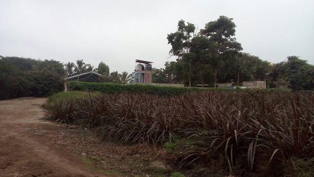 Venta de terreno en Urb. Huertos de Villena en Pachacamac, cuenta con luz trifasica, pozo de agua, tanque