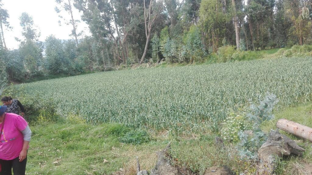 Vendo Terreno Agricola Registrado