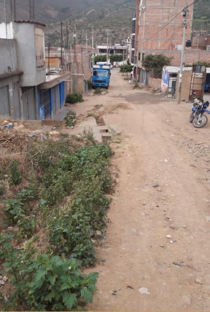 PILLCOMARCA HUÁNUCO, A MEDIA CUADRA DE LA PISTA CARRETERA CENTRAL