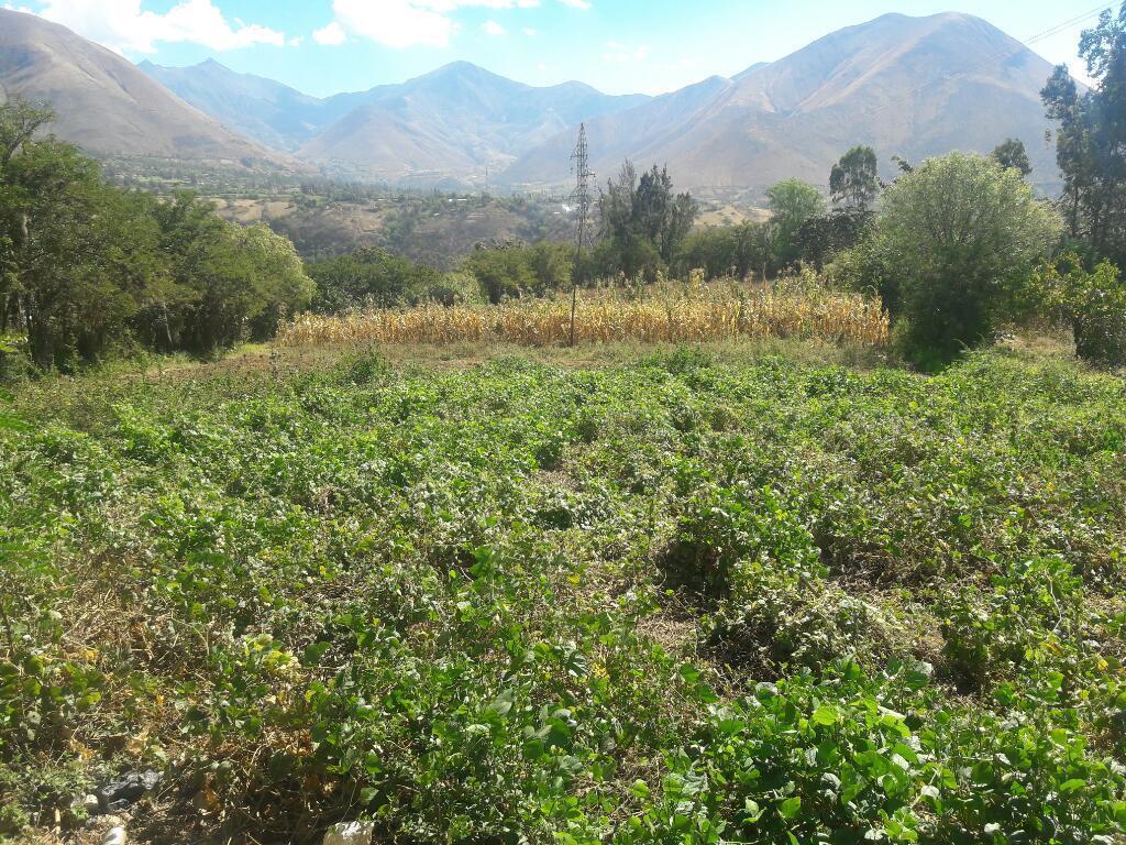 Terreno en Huanuco Colpa Alta