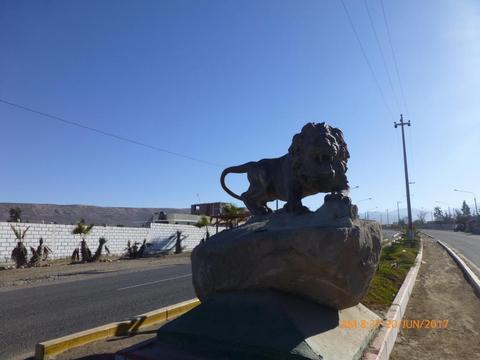 Vendo terreno excelente clima ubicación en Av. celestino vargas carretera calana