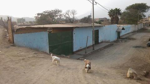 TERRENO EN PUENTE PIEDRA