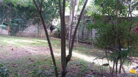 Vendo Terreno 200m2