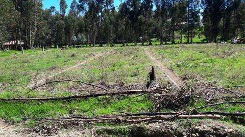 OCASION VENTA DE LOTES EN CONCEPCIÓN A SOLO S/250