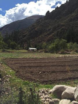 Tres lotes de terreno de 500m2 vendo en Urubamba, Cusco, ocasión