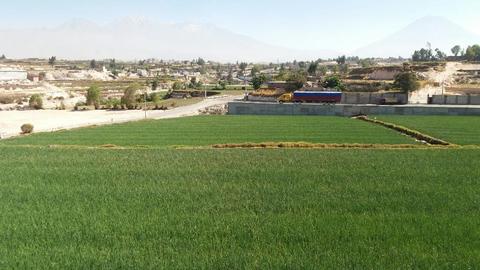 Vendo Terreno por la Variante de Uchumayo Panamericana en el bajo Cural