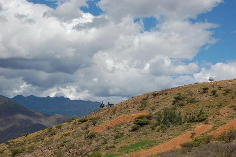 VENTA DE LOTES DE TERRENOS DE 200MTS HUANUCO ÚNICA OCASIÓN EN REMATE