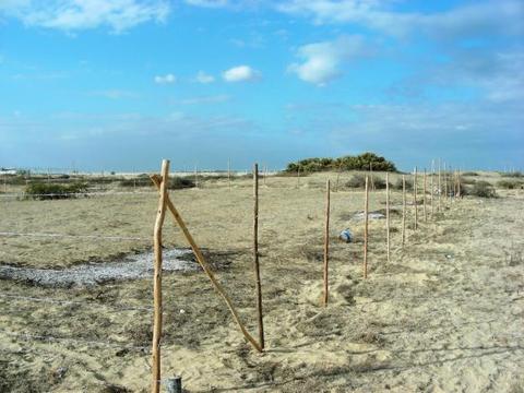 Terreno en los Ejidos