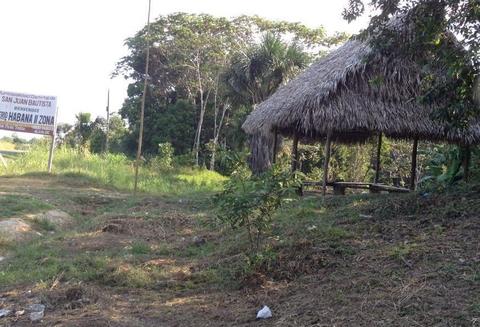 Remax Vende Terreno 10 hectáreas, 50ml de frentex2,000 de fondoKm 53.20 Carretera IquitosNauta salida a la pista