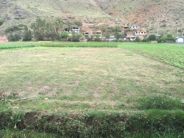 OCACION COLLPA BAJA VENDO TERRENO DE 509 M2 $37,000