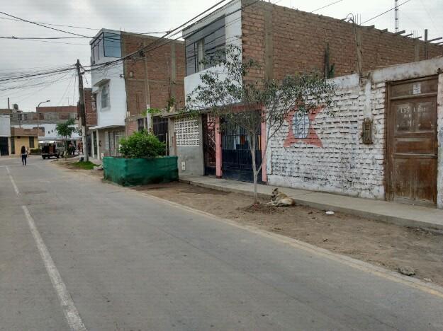 terreno ocasión de108m2 en SAN MARTIN PORRES. Ubicado urb. Los lirios Mz G Lt 11