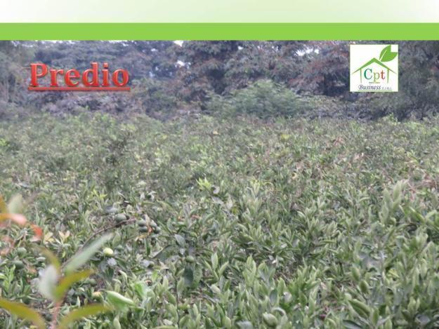 Terreno agrícola 1.5Has a $ 85,000/Ha en La Esperanza