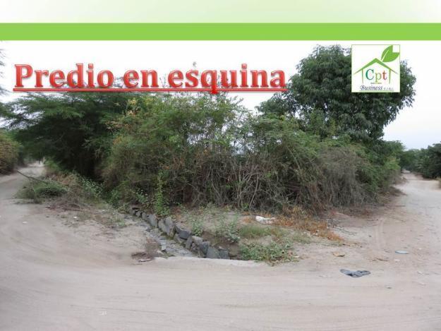 Terreno agrícola 1.5Has a $ 85,000/Ha en La Esperanza