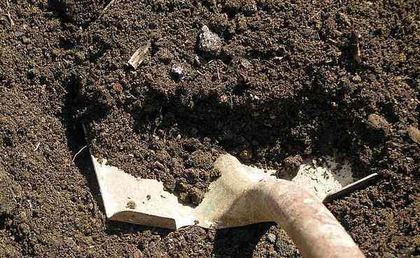 TERRENO AGRÍCOLA TRASPASO NEPEÑA