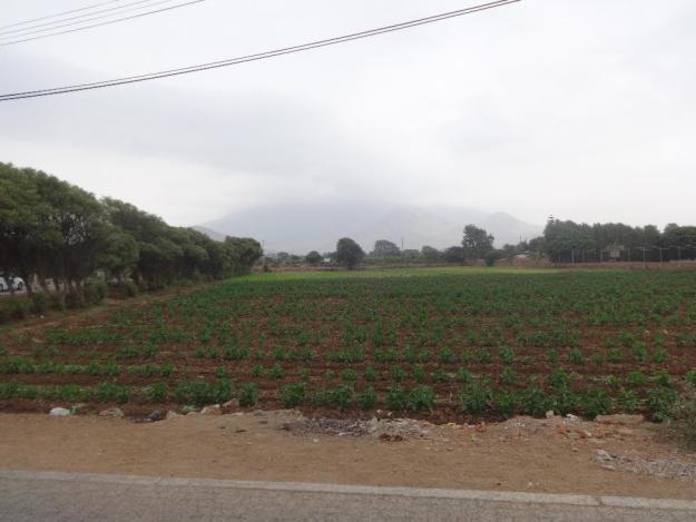 EN MOCHE ,,,,EXCELENTE TERRENO 13, 800 M2, IDEAL PARA PROYECTO INMOBILIARIO, CAMPESTRE