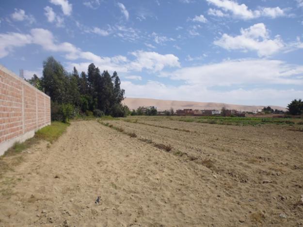 TERRENO DISTRITO DE POCOLLAY 3000 m2