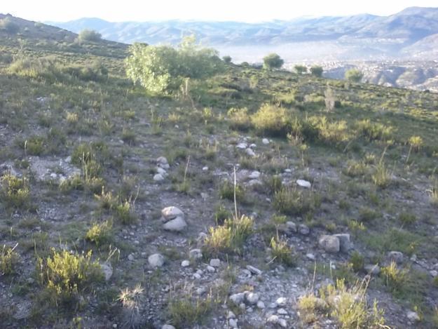 SE VENDE TERRENOS EN LAS LOMAS DE MOLLEPATA  HUAMNAGA