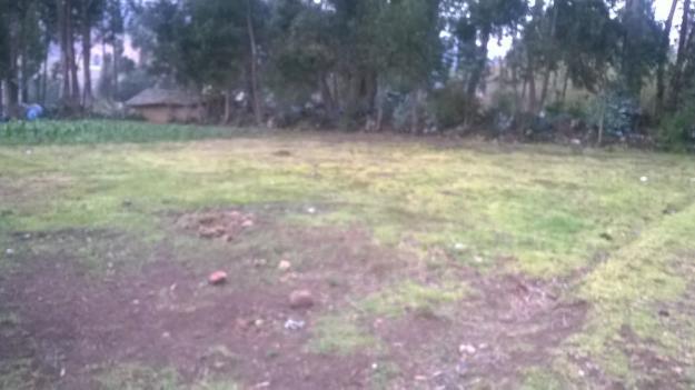 vendo terreno de 500 m2 en la paccha