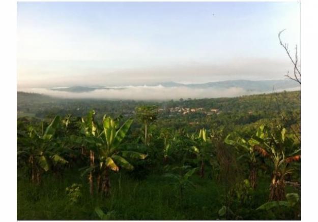 Terreno en CacatachiTarapoto