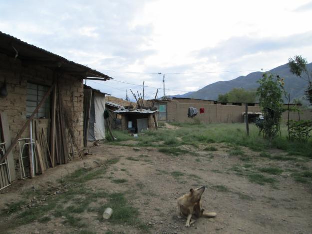 VENDO TERRENO COLPA HUANUCO