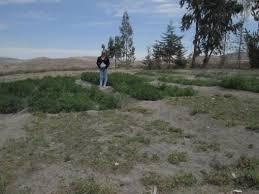 terreno 700m2 con titulo de prepiedad