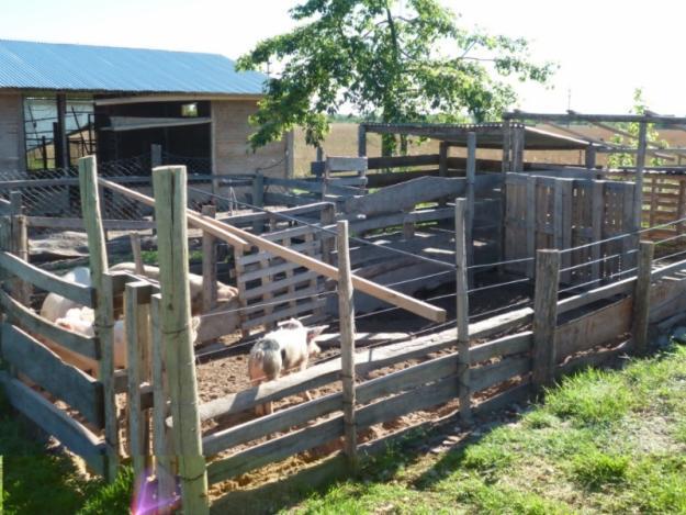 OCACION:Traspaso terreno de 140 mt. terreno agro industrial en villa el salvador