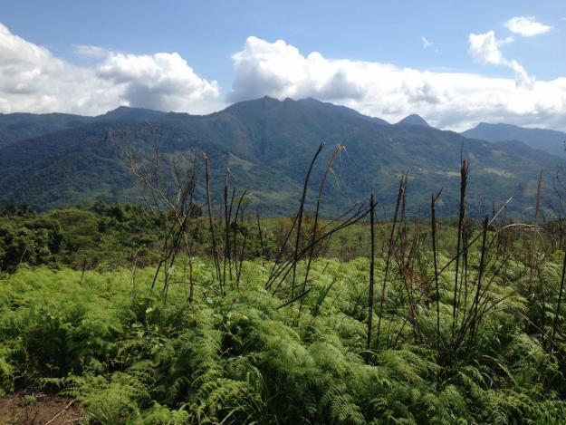 Terrenos a 20 Minutos de Tarapoto