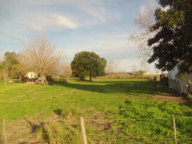 Busco terreno en Socabaya, sabandia o Characato