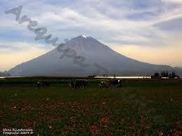 VENDO TERRENO DE 250 M2 CON TITULO INSCRITO EN RR. PP. Y TODOS LOS SERVICIOS FUNCIONANDO AL 100