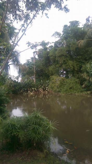 Venta de Terreno en Iquitos PampaChica