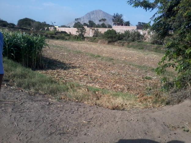 terreno en campiña moche