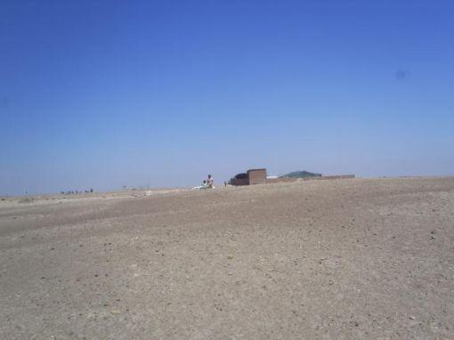 REMATO TERRENO DE 1500M2 PARA CRIANZA DE CUYES EN EL PEDREGAL