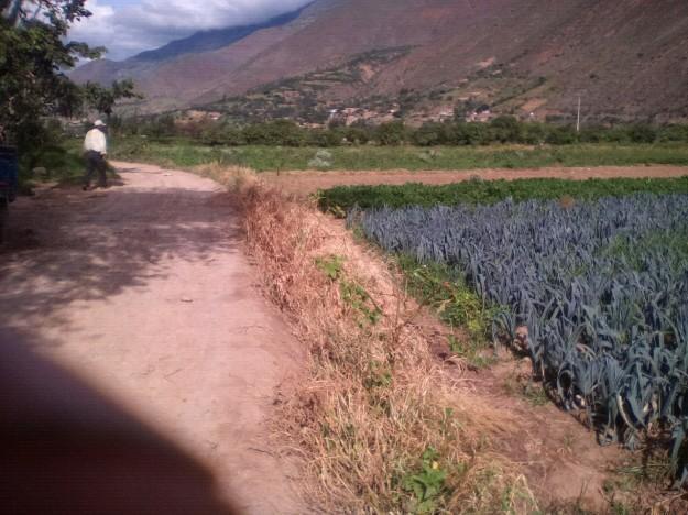 Terreno ideal para casa de campo o proye tos productivos