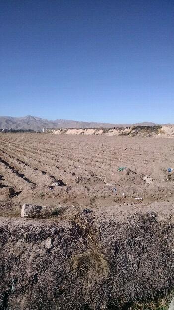 Alquilo terreno