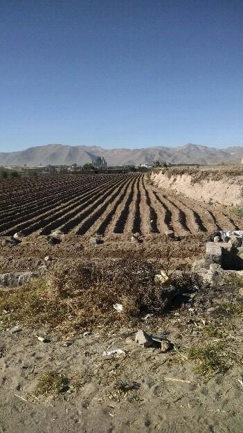 Alquilo terreno