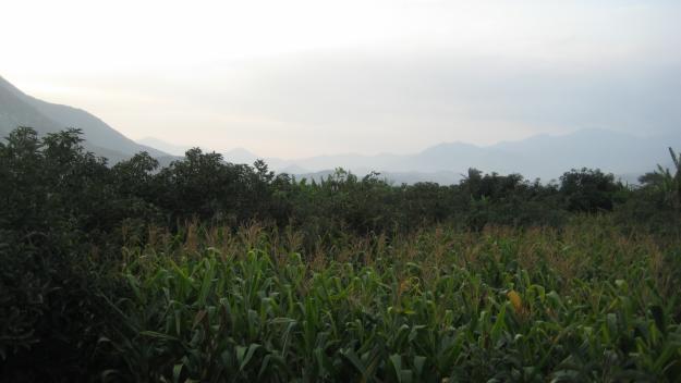 Venta de Terreno Agrícola en Moro a 45 minutos de Chimbote