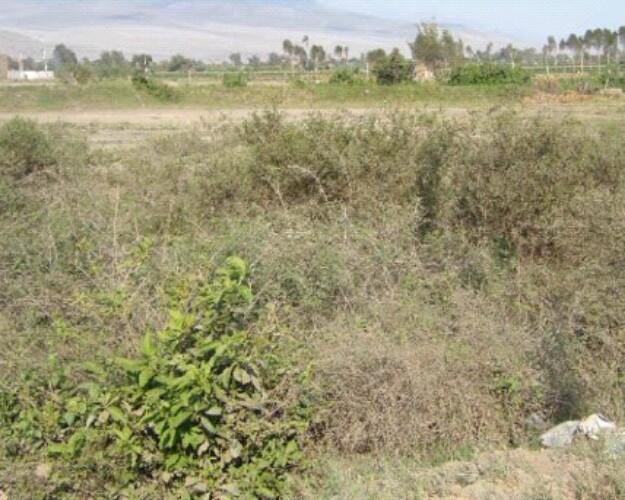 Vendo terreno en characato