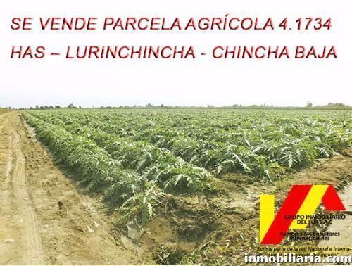 Terreno Rural en Chincha en Venta, 41734 m2