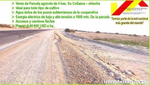 Terreno Rural en Chincha en Venta, Collazos Chincha, 40000 m2