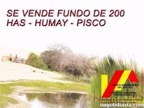 Terreno Rural en Chincha en Venta, Humay, 200 hcts